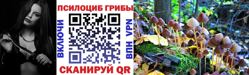 Псилоцибиновые грибы Psilocybe  ссылка на мегу как войти  Гремячинск 